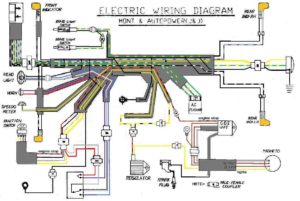 Wiring Diagrams A To Z For Thee Myrons Mopeds