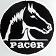 Pacer small